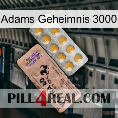 Adams Secret 3000 41